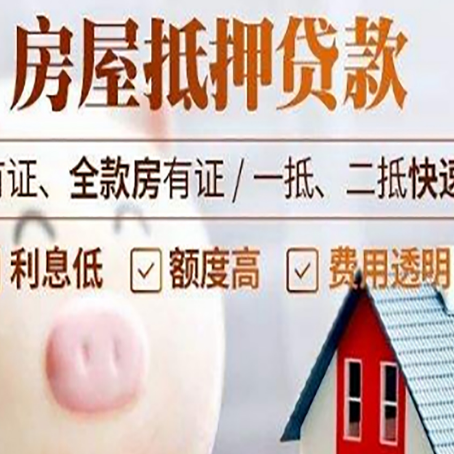 冀州贷款助贷公司新渝启服成立时间久